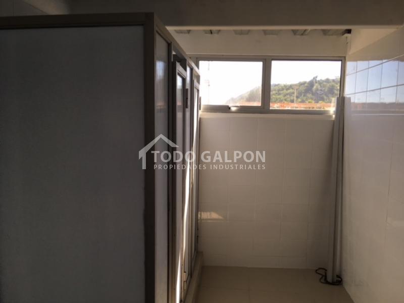 Venta de Galpon Industrial Nuevo - Cruce Tapihue.  - Casablanca .