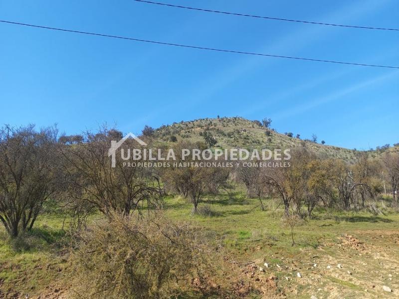 Venta - Venta Parcela Agrícola